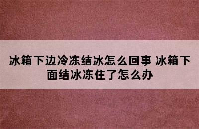 冰箱下边冷冻结冰怎么回事 冰箱下面结冰冻住了怎么办